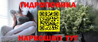 ГАЛЛЮЦИНОГЕННЫЕ ГРИБЫ Канаш