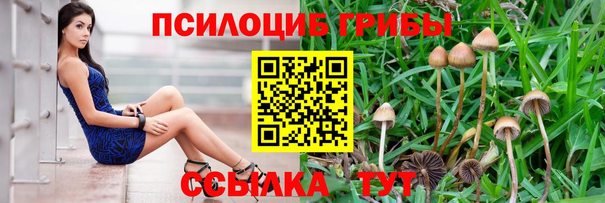 Галлюциногенные грибы Cubensis  Вход с VPN  Крымск 
